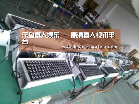 乐鱼电竞案例展示一