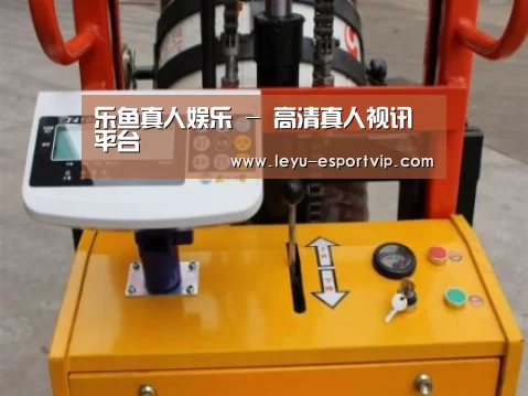 乐鱼电竞案例展示三