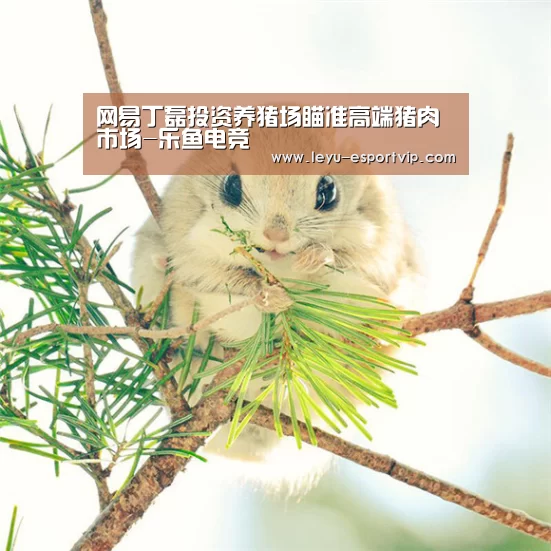 乐鱼电竞赛事