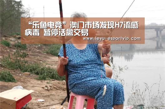 乐鱼电竞赛事