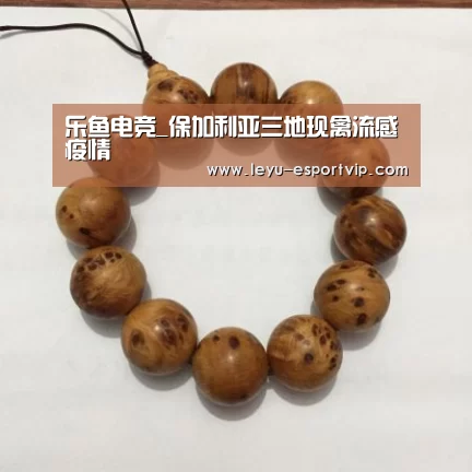 乐鱼官方入口