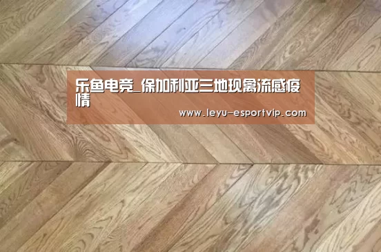 乐鱼电竞平台